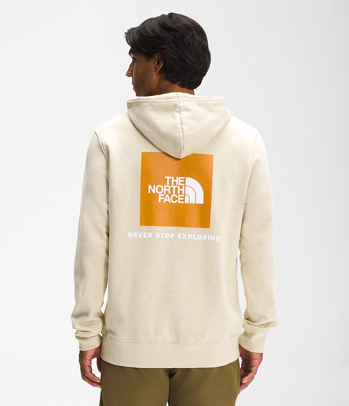 The North Face Mens Hoodie Box NSE Pullover 624IEQARX - Beige
